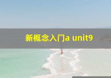 新概念入门a unit9